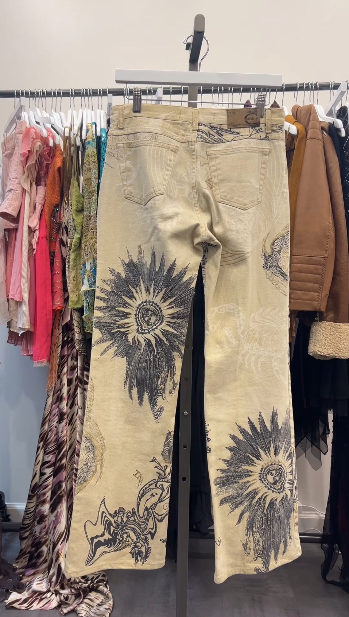 Roberto Cavalli F/W 2003 Scorpio Jeans