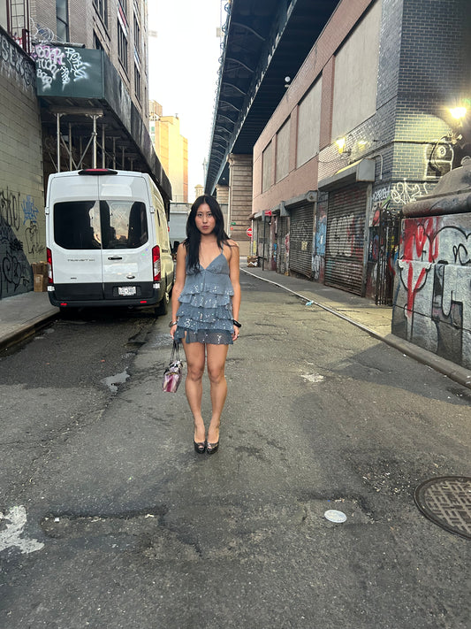 Silk Sequin Ruffle Dress