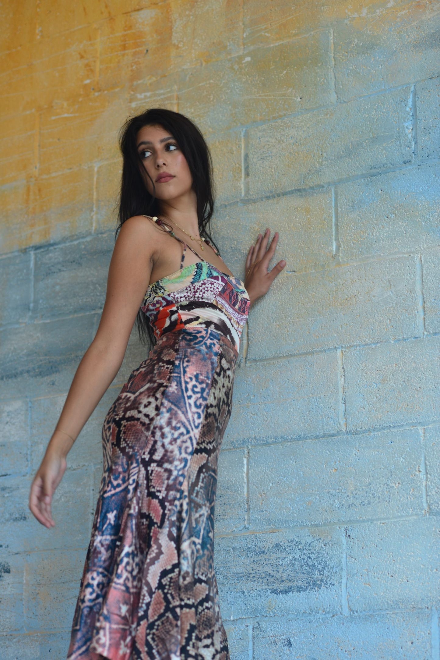 Roberto Cavalli Multicolor Snakeskin Print Silk Maxi Dress