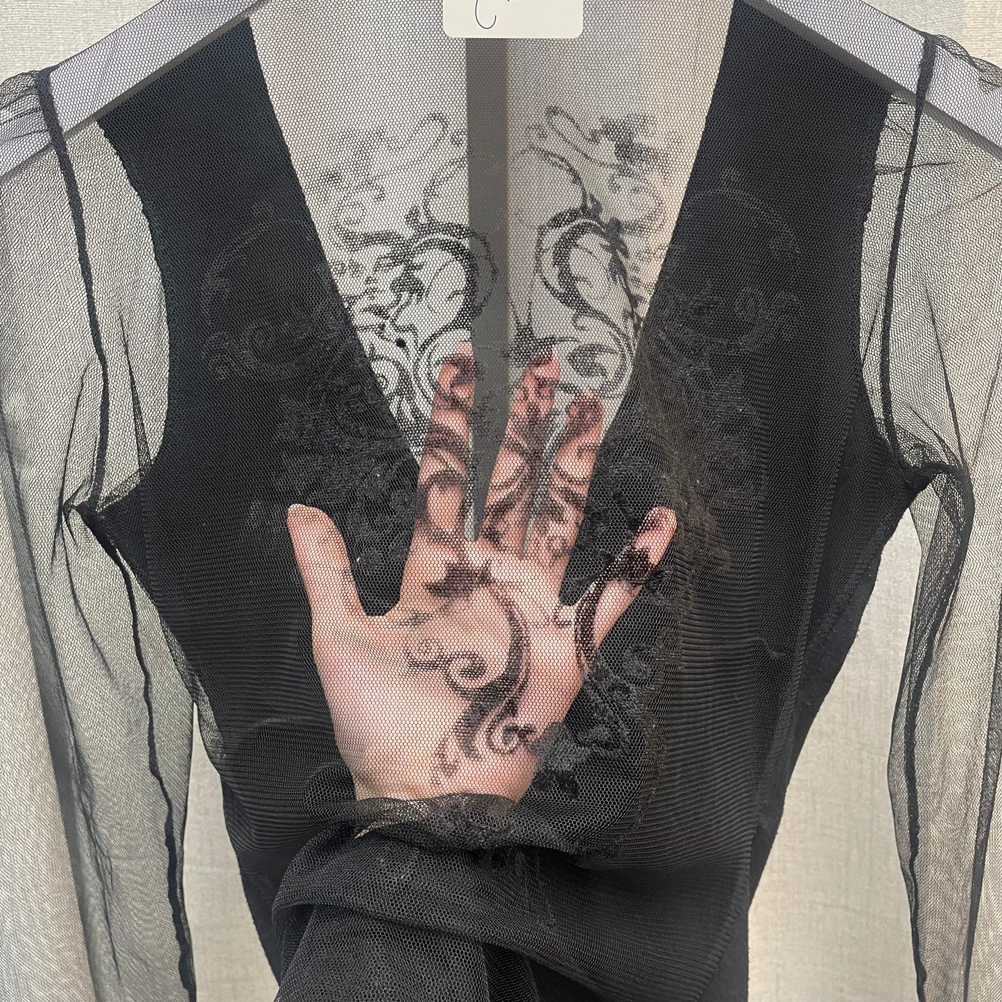 Backless Mesh Long Sleeve Top