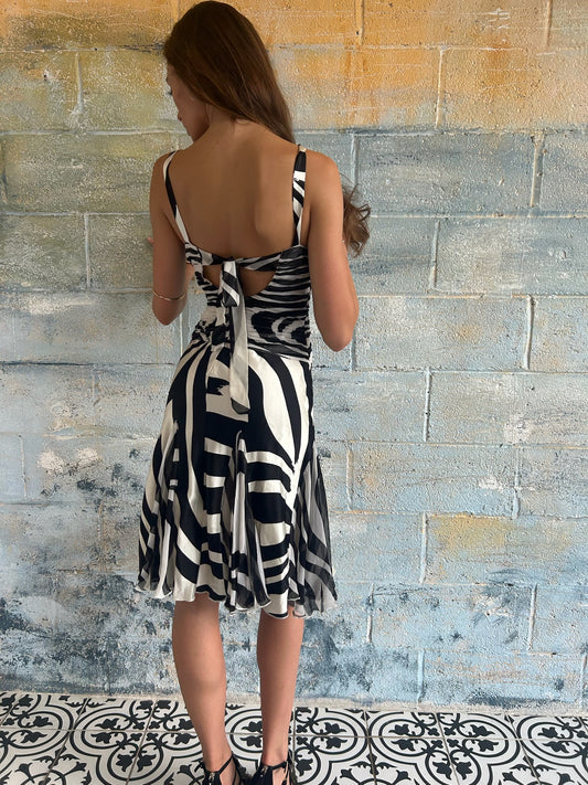 Silk Zebra Print Dress