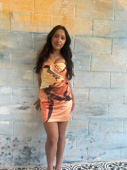 Vivienne Tam S/S 2010 Butterfly Print Silk Mini Dress