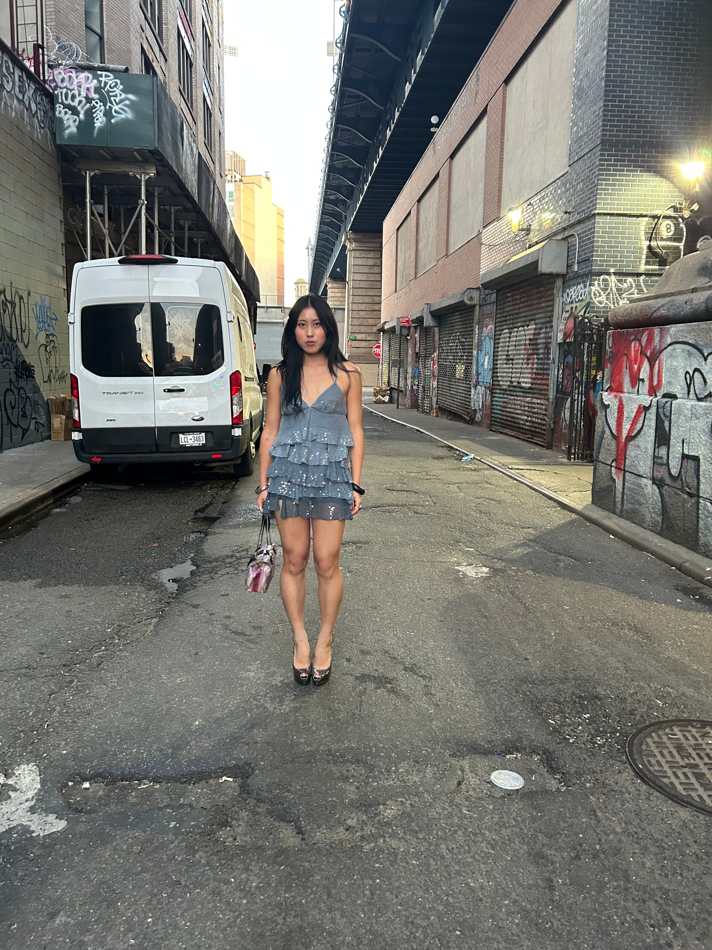 Silk Sequin Ruffle Dress