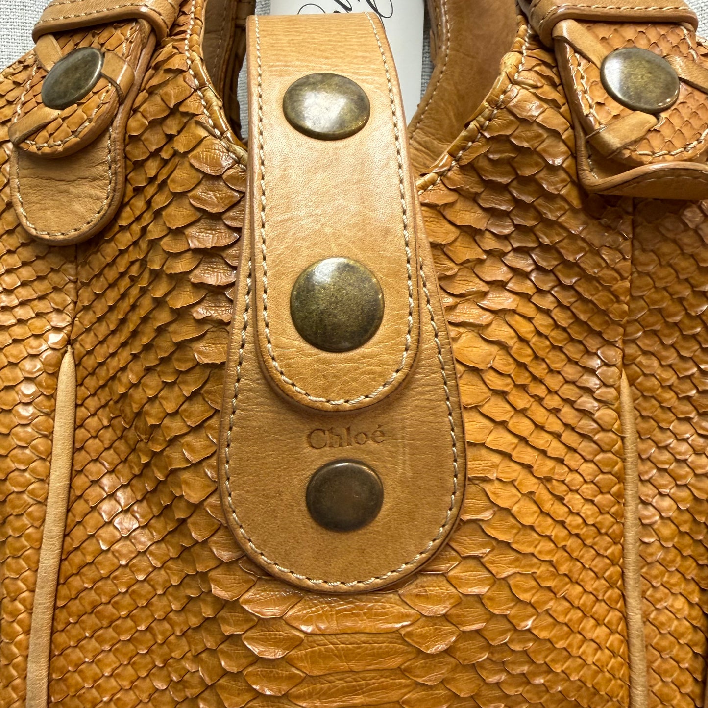 Brown Chloe Silverado Python Bag