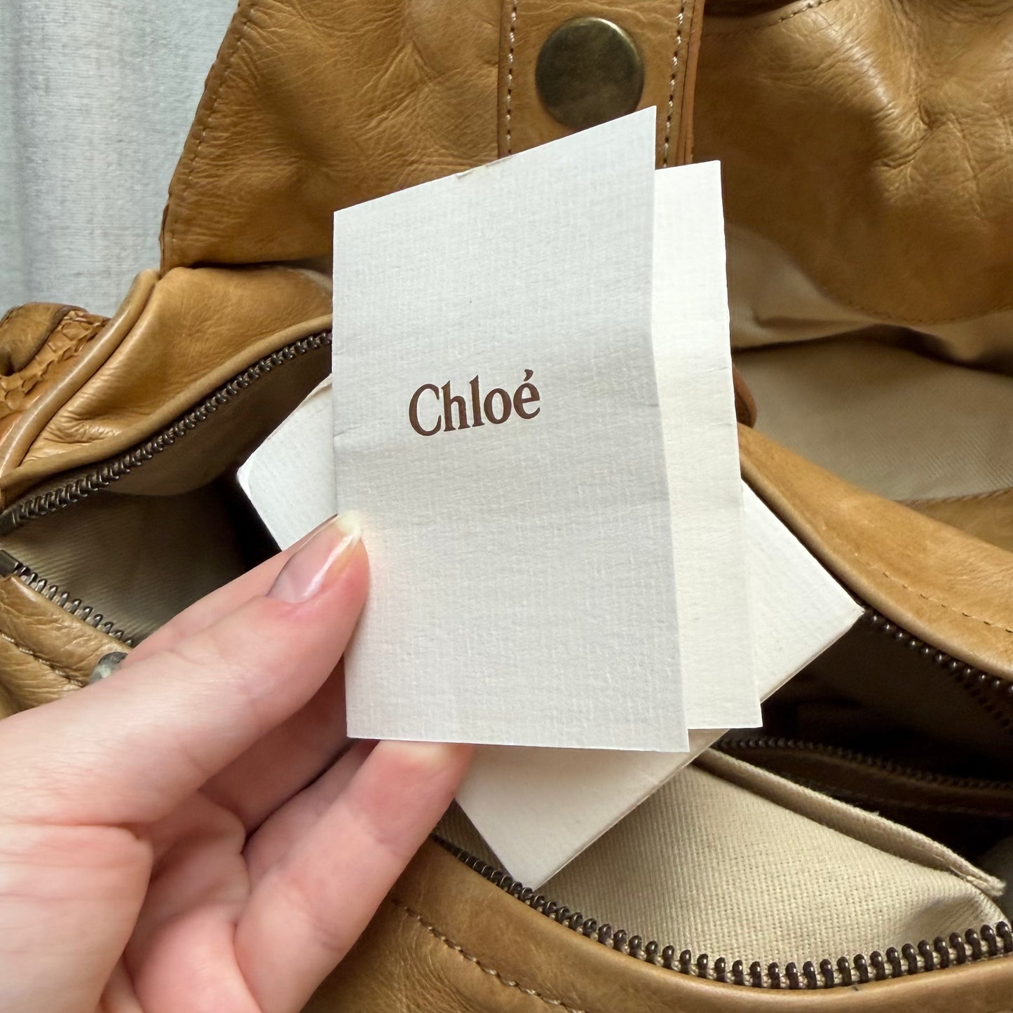 Brown Chloe Silverado Python Bag
